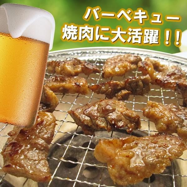 情熱ホルモン 肉 牛肉 焼肉 焼き肉 セット バーベキュー 肉 ジューシー