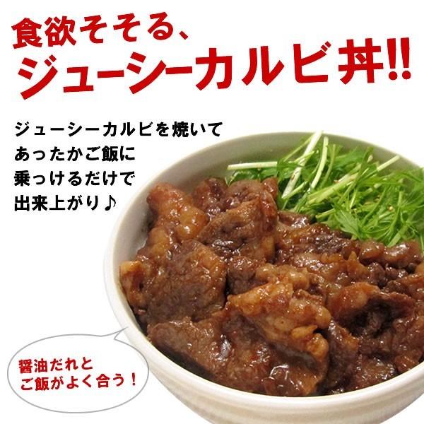 情熱ホルモン 肉 牛肉 焼肉 焼き肉 セット バーベキュー 肉 ジューシー