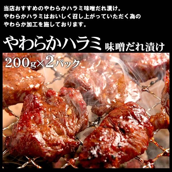 肉 牛肉 焼肉 焼き肉 セット バーベキューセット  肉 牛赤身3種盛り ハラミ 牛ロース ジューシーカルビ 3-4人前 計1.2kg BBQ 肉 牛肉 食品｜yhjonetsu｜03