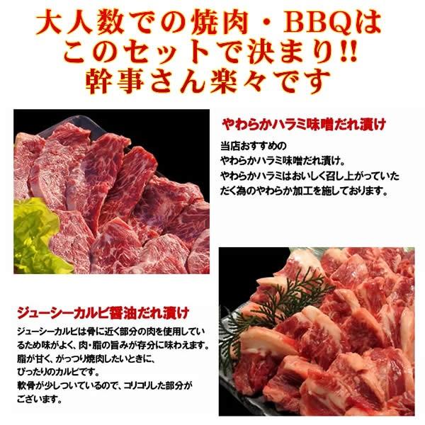 焼き肉 焼肉 セット バーベキューセット 計5kg 12 15人前 特撰人気盛り qセット ハラミ カルビ 牛バラロース など計11種 バーベキュー 焼肉 情熱ホルモン直売ショップ Yahoo店 通販 Yahoo ショッピング