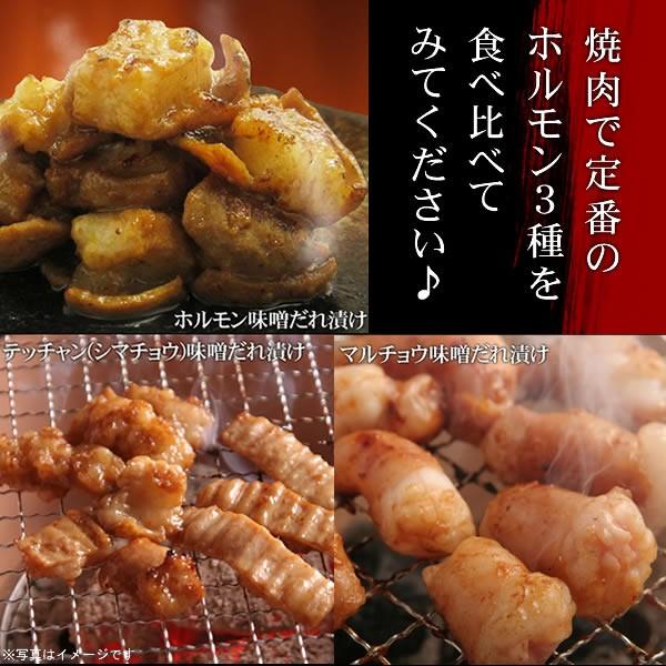 肉 焼き肉 情熱ホルモン お試し 盛り合わせセット計600g 牛ホルモン シマチョウ マルチョウ BBQ 焼肉セット 肉 バーベキューセット 牛肉 食品｜yhjonetsu｜07