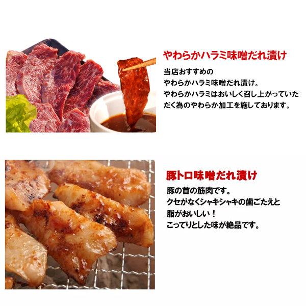 焼肉 送料無料 計1kg 情熱の お試し 焼肉セット【Ａ】(ハラミ テッチャン 豚トロ 訳あり牛タン) バーベキュー BBQ 北海道沖縄配送は別途送料追加｜yhjonetsu｜03