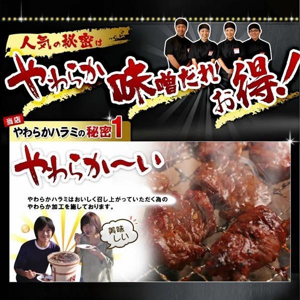 ハラミ 焼肉 肉 牛肉 焼き肉 焼肉セット バーベキュー BBQ やわらか 牛ハラミ 味噌だれ漬け 超メガ盛セット 1.6kg バーベキューセット 食品｜yhjonetsu｜04