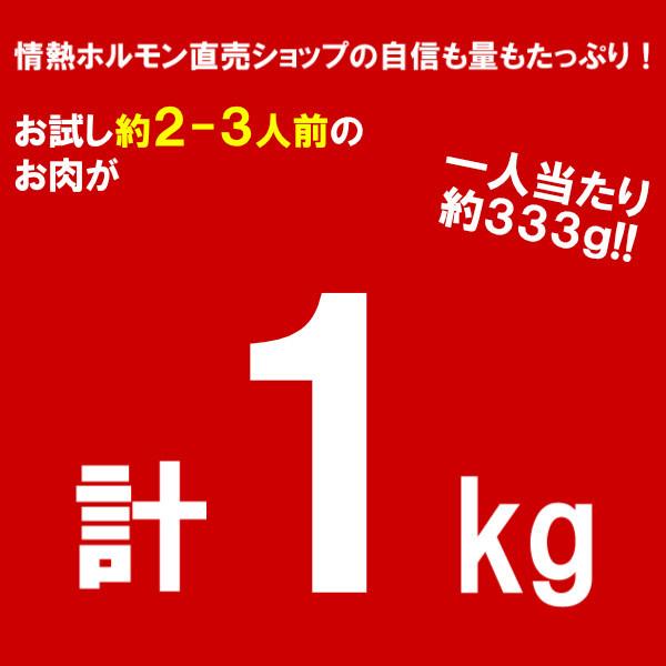 焼肉セット 肉 焼き肉 焼肉 計1kg お試し 焼肉セット E ハラミ 牛ホルモン ブリスケ 豚トロ バーベキュー BBQ 牛肉 肉 北海道沖縄配送は別途送料追加｜yhjonetsu｜06