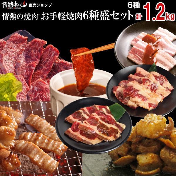 焼き肉 計1.2kg お手軽 焼肉 6種盛セット (ハラミ テッチャン カルビ  牛ホルモン 他) バーベキュー BBQ 牛肉 肉  北海道・沖縄配送は別途送料追加（Yahoo!・情熱ホルモン直売ショップ Yahoo店）