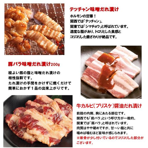 焼き肉 計1.2kg お手軽 焼肉 6種盛りセット (ハラミ テッチャン カルビ  牛ホルモン 他) バーベキュー BBQ 牛肉 肉  北海道・沖縄配送は別途送料追加｜yhjonetsu｜04