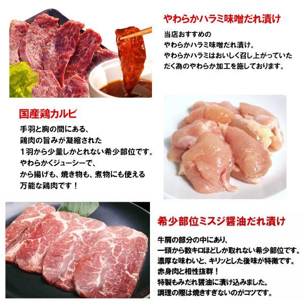 肉 焼き肉 計1kg お手軽 焼肉 5種盛りセット (ハラミ テッチャン ミスジ 豚トロ 鶏カルビ) バーベキュー BBQ 牛肉  北海道・沖縄配送は別途送料追加｜yhjonetsu｜02