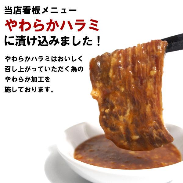 ガツンと にんにく やわらか ハラミ 味噌だれ漬け 1kg メガ盛セット 焼肉 BBQ バーベキュー 情熱ホルモン｜yhjonetsu｜04