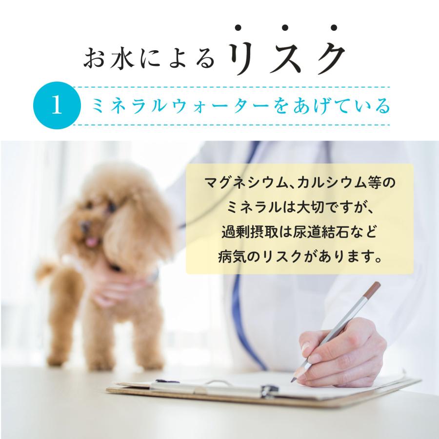 curious 自動給水器用 フィルター 2枚×1箱 活性炭 水飲み器 自動水やり