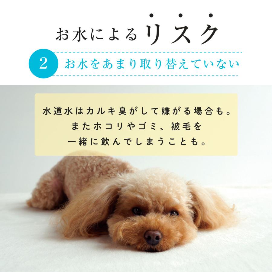 curious 自動給水器用 フィルター 2枚×1箱 活性炭 水飲み器 自動水やり