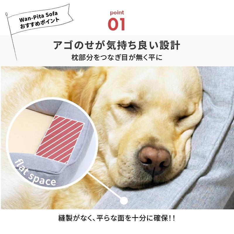 ベッド ペット用 中型犬 高反発 クッション 洗える 猫 シニア 耐久性