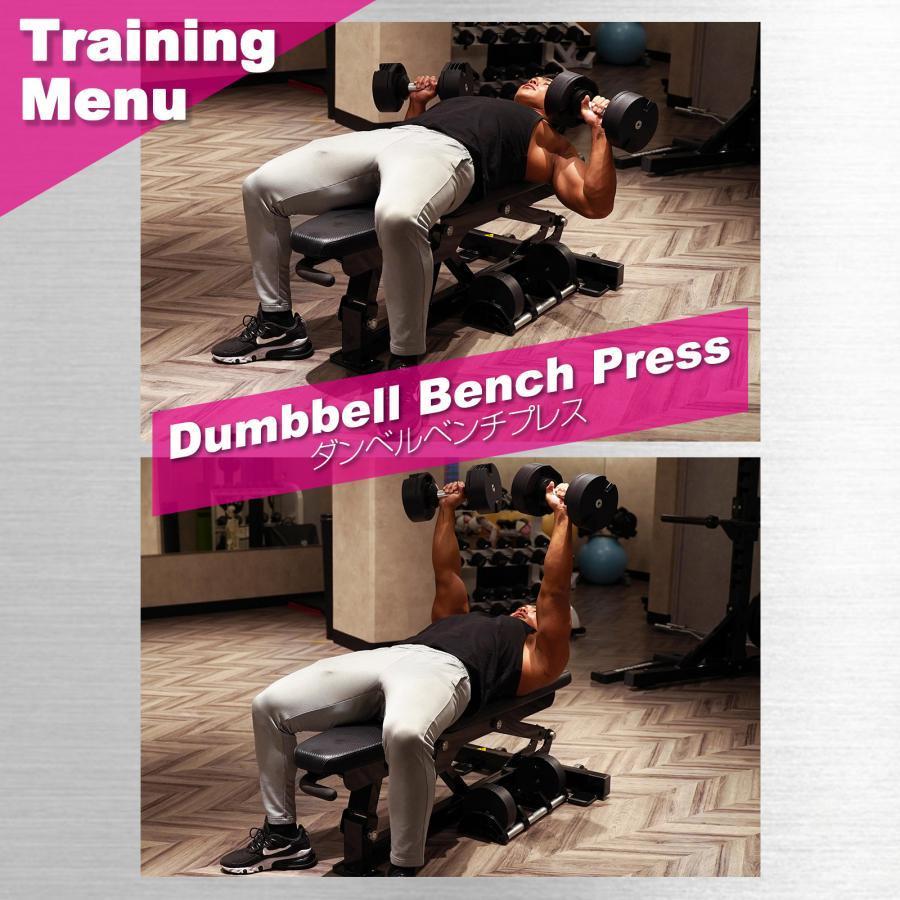 お値下げ フレックスベル20kg×2個セット (NUO 正規代理店) 可変式ダンベル 【H7929553250】(28917円)