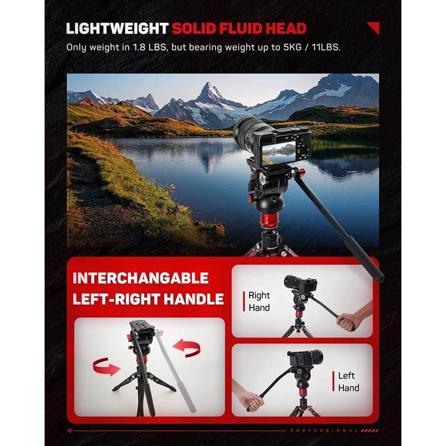 Manfrotto - Ifootage 一脚、雲台セット 並行輸入品】 iFootage カメラ用カーボン一脚+雲台セット Cobra