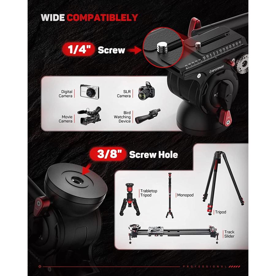 Manfrotto - Ifootage 一脚、雲台セット 並行輸入品】 iFootage カメラ用カーボン一脚+雲台セット Cobra