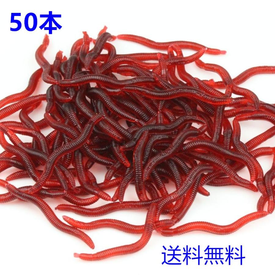 ミミズ Earthworm Japaneseclass Jp