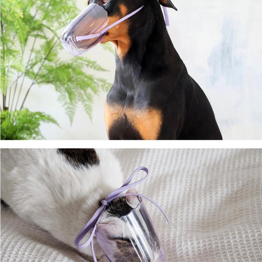 ペットマスク 猫轡 くつわ透明通気 近所迷惑対策 介護 送料無料 猫用 犬用 調節可能 軽量 術後 プラスチック 舐めない 傷舐め防止 噛む防止 術後ウェア 快適 Cw015 雑貨市場店 通販 Yahoo ショッピング