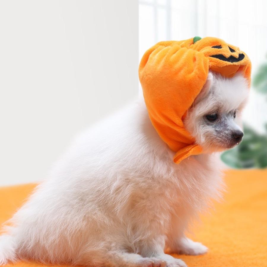 ペット服 帽子 ハロウィン カボチャ パンプキン 柔らか 暖かい 猫犬仮装 雰囲気造 コスプレ服 猫仮装 大型犬 面白い お化け 仮装 可愛い Halloween 装飾 Petcloth030 雑貨市場店 通販 Yahoo ショッピング