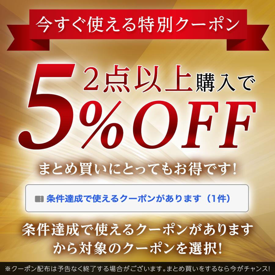 Polarizer 2点まとめ買いセット 水平器 レーザー マーカー 小型 屋外 安い ホルダー 水準器 多機能