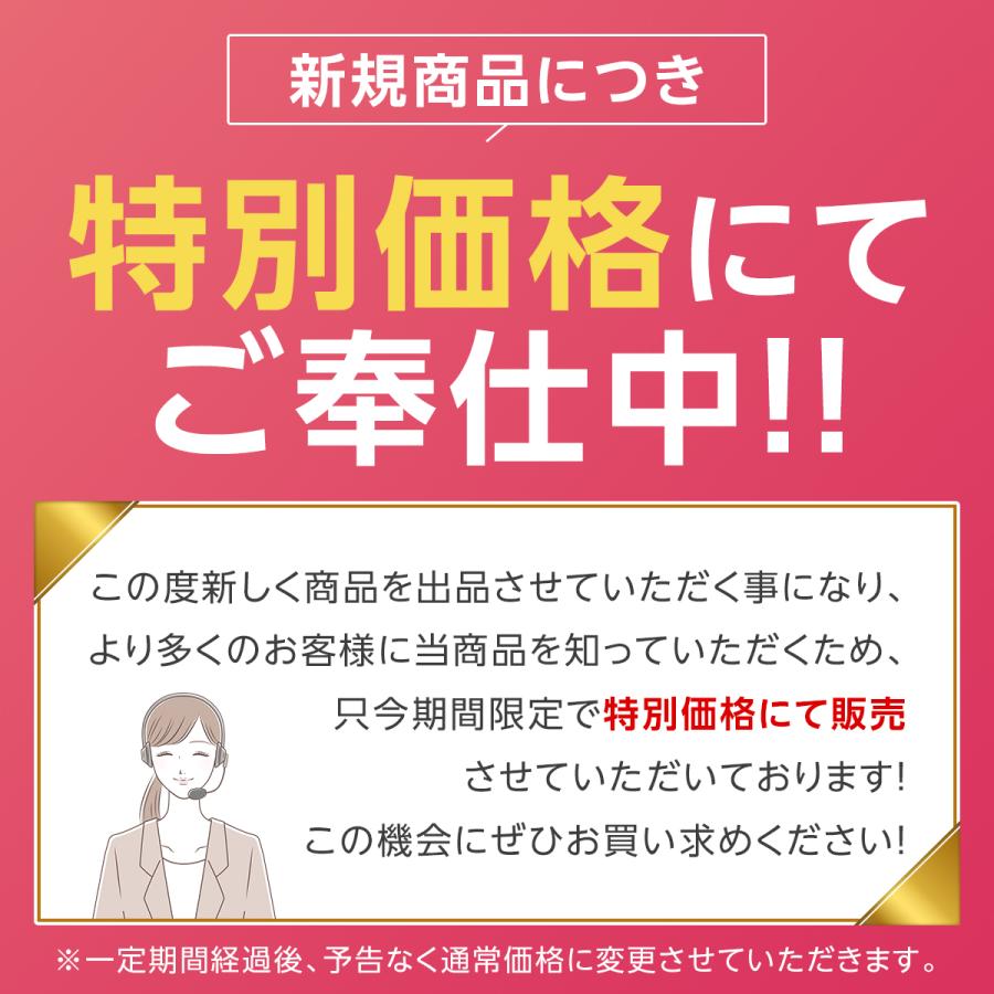 コインアルバム コインホルダー 250枚 収納 コレクション 収集 保存用 お金 ポケット 古銭 令和 メダル 貨幣 記念コイン 記念硬貨