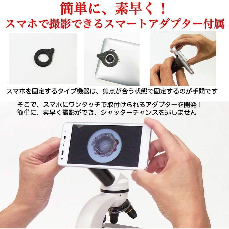 送料無料 特別版：顕微鏡観察ガイド付属顕微鏡セット 40-800倍 2Way (生物顕微鏡と反射顕微鏡) マイクロスコープ スマホ撮影可 子供 小学生 【N2047178741】(13159円)