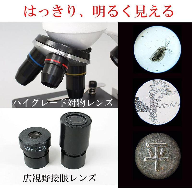 送料無料 特別版：顕微鏡観察ガイド付属顕微鏡セット 40-800倍 2Way (生物顕微鏡と反射顕微鏡) マイクロスコープ スマホ撮影可 子供 小学生 【N2047178741】(13159円)