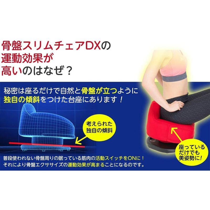 東急スポーツオアシス 骨盤スリムチェアDX （デラックス） 座椅子 360度 腰回り エクササイズ 揺らす運動器具 姿勢サポート SC-20 骨盤スリムチェアDX デラックス 座椅子 360度 腰回り エクササイズ 揺らす運動器具 姿勢サポート SC 約