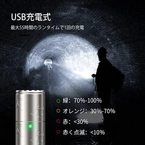 タクティカル　懐中電灯　KLARUS 楽天市場】KLARUS クラルス K10 Green Aluminium タクティカル