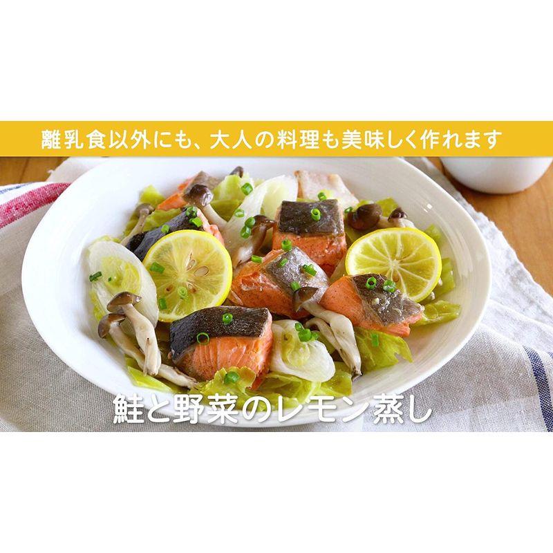 BEABA ベアバ ベアバのベビークックSOLO グレー FDEA912511 ベアバ ベアバのベビークックSOLO グレー FDEA912511