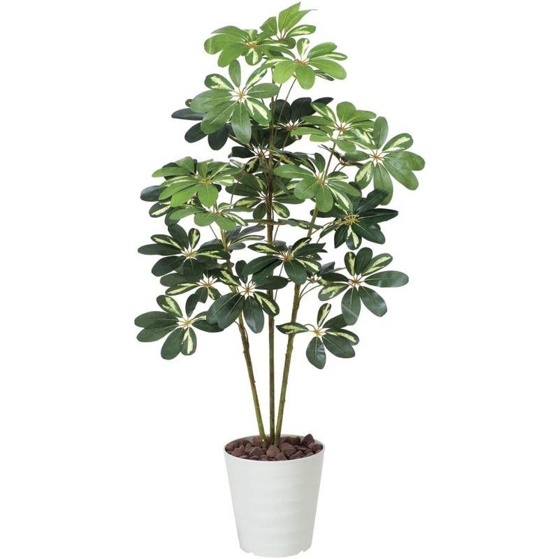 お買い得！ 光触媒 人工観葉植物 光の楽園 カポック斑入り1.2m 371A150 【2250878383】(14477円)