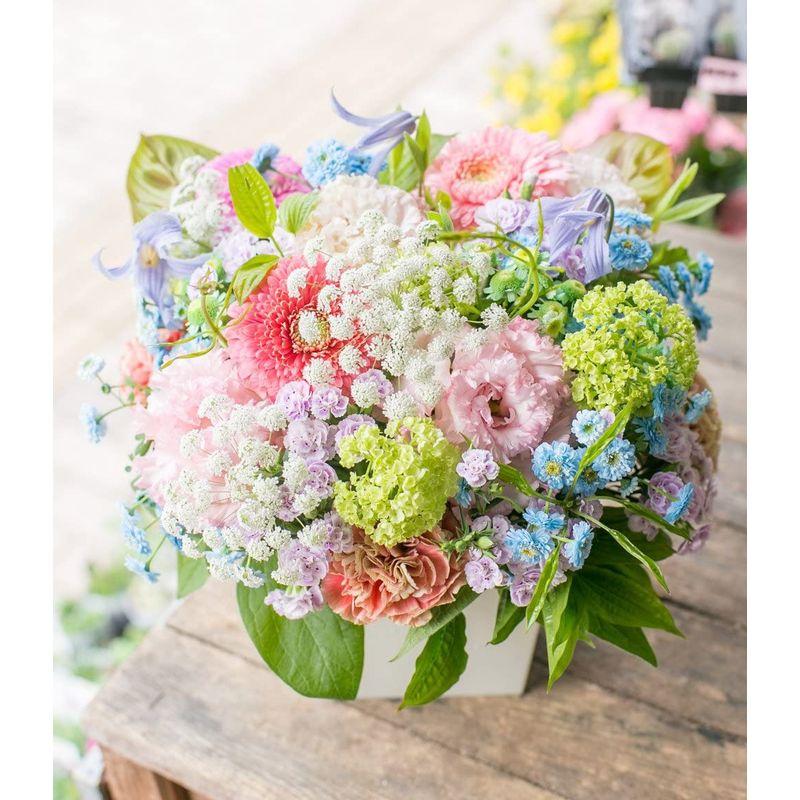 アレンジメントフラワー 生花 ギフト LLサイズ イメージ(可愛い)大臣賞受賞デザイナー おまかせアレンジメント イメージ 生花 ギフト LLサイズ 可愛い 大臣賞受賞デザイナー おまかせアレンジメント 　 サイズ