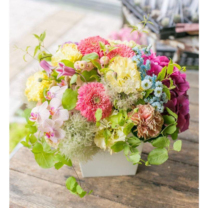 アレンジメントフラワー 生花 ギフト LLサイズ イメージ(可愛い)大臣賞受賞デザイナー おまかせアレンジメント イメージ 生花 ギフト LLサイズ 可愛い 大臣賞受賞デザイナー おまかせアレンジメント 　 サイズ