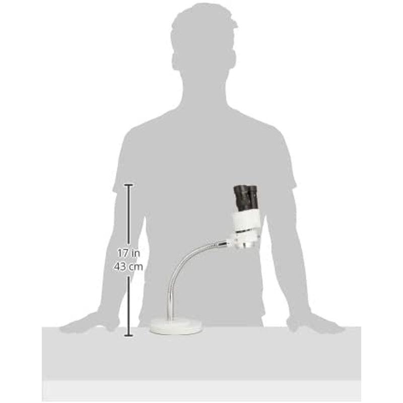 限定品 アルゴファイルジャパン 実体双眼顕微鏡 グレートアイ ホビー用ツール GE8000 【IQY7851705670】(28635円)