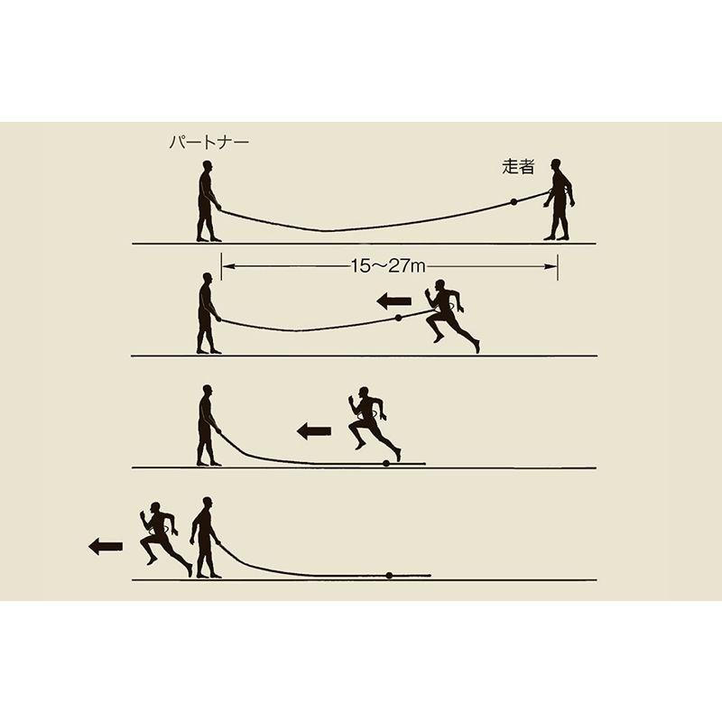 【希少】 NISHI(ニシ・スポーツ) クイックリリース・スピードハーネス ヘビーチューブタイプ NT7422D ブラック 【LW8190821950】(29872円)