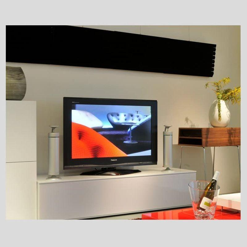 【〜6/6まで出品】 Egretta エグレッタ スピーカー デスクトップサイズ 全方位スピーカー アクティブ PC 本格 「TS550F」 360°無指向性 ア 【PET2873619657】(104804円)