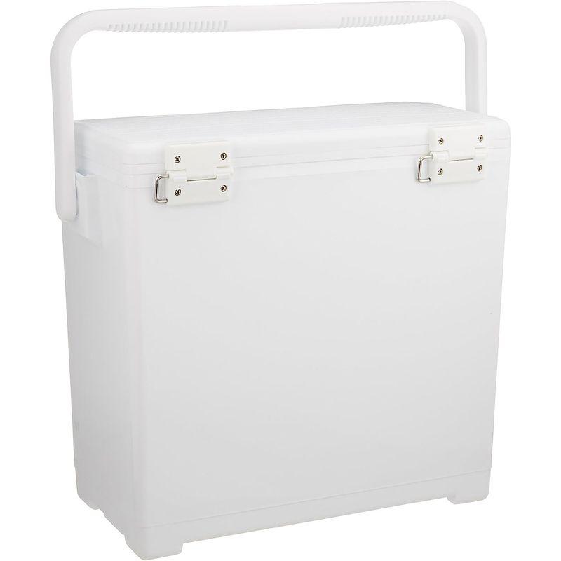 ダイワ(DAIWA) クーラーボックス ZS 700 釣り 小型 7リットル 7リットル DAIWA クーラーボックス ZS 釣り 小型