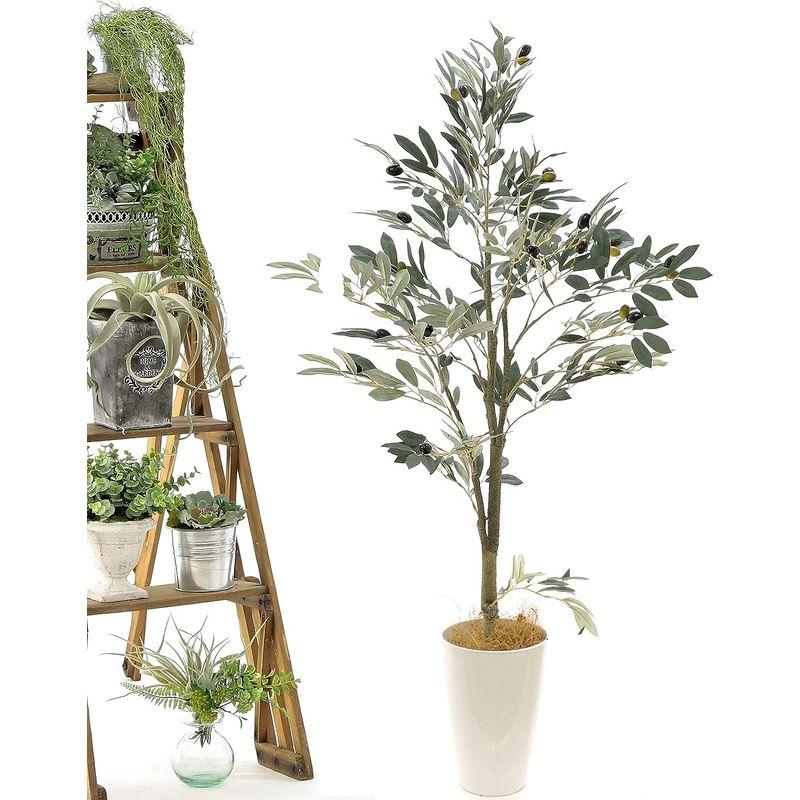 フェイクグリーン 光触媒 造花 人工 観葉植物 造花ドットコム 「オリーブ 高さ120cm 幅60cm 奥行60cm」白丸ポットとヤシの繊維 造花ドットコム 光触媒 造花 人工 観葉植物 オリーブ 高さ120cm 幅60cm 奥行60cm 白丸ポットとヤシの繊維