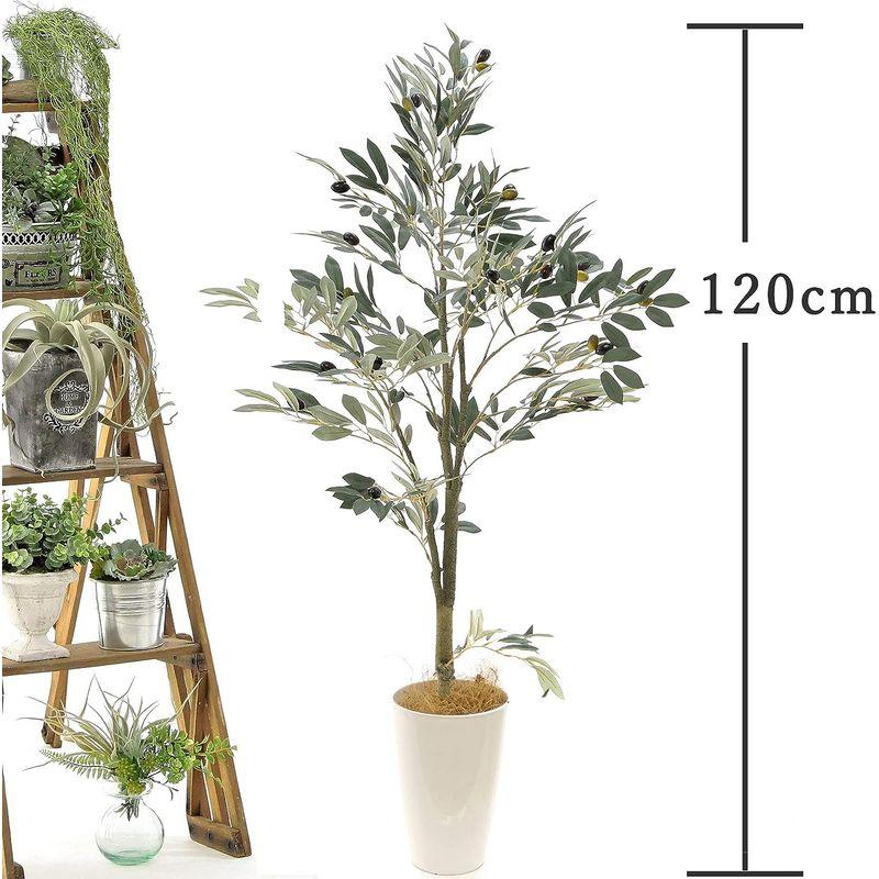 フェイクグリーン 光触媒 造花 人工 観葉植物 造花ドットコム 「オリーブ 高さ120cm 幅60cm 奥行60cm」白丸ポットとヤシの繊維 造花ドットコム 光触媒 造花 人工 観葉植物 オリーブ 高さ120cm 幅60cm 奥行60cm 白丸ポットとヤシの繊維