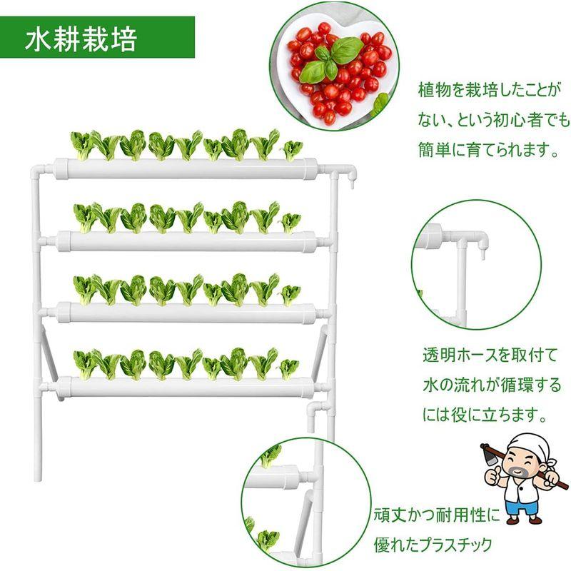 EC Grow 水耕栽培キット 水耕栽培 土を使わず 室内栽培や野菜育成に 36穴 作動時間可調節 ミニポンプ付き Grow 水耕栽培キット 水耕栽培 土を使わず 室内栽培や野菜育成に 36穴 作動時間可調節 ミニポンプ付き