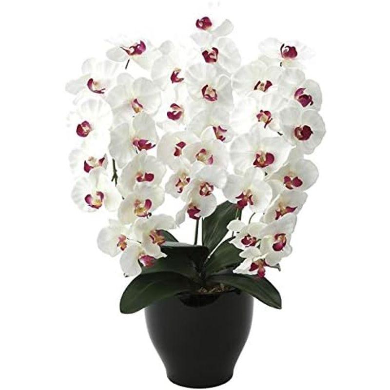 【公式】 光触媒 造花 光の楽園 プレミアム胡蝶蘭W/AB 661A125 【S2274534393】(14637円)