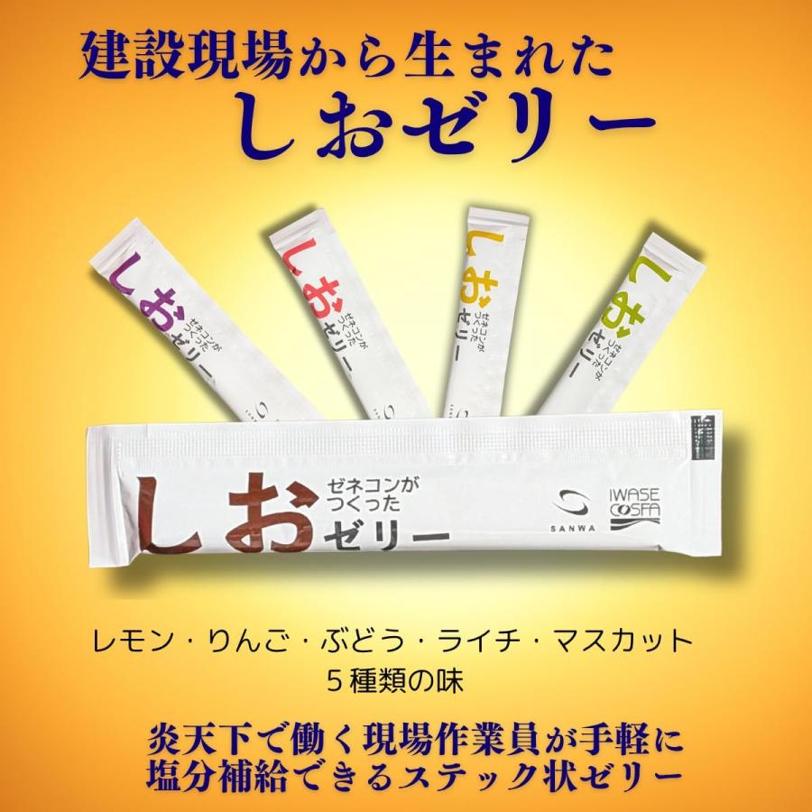 熱中症対策ゼネコンが作ったしおゼリー【20個セット】 ミックス 10g