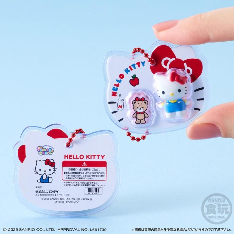 5個バラ売り 】サンリオキャラクターズ パッケージチャーム&チョコ