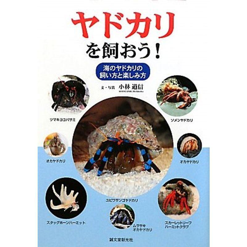 ヤドカリを飼おう 海のヤドカリの飼い方と楽しみ方 us Ykヤフー店 通販 Yahoo ショッピング
