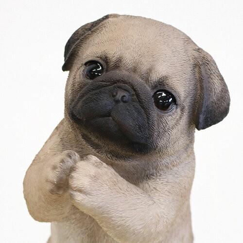 動物 置物 アニマルオーナメント オブジェ かわいい 犬 ドッグ イヌ パグ S おねだりイヌ Beni Pqy 1027 輸入家具屋さん Com 通販 Yahoo ショッピング