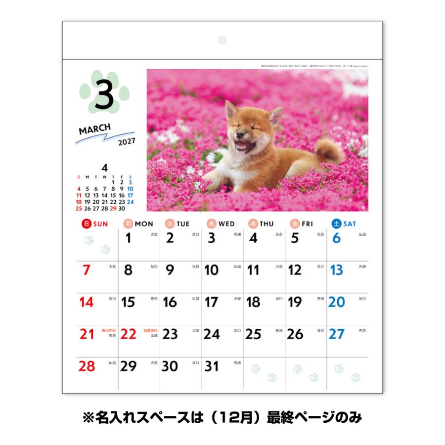 壁掛けカレンダー わんmoreにゃん 100冊 ケース販売 まとめ買い 販促 ノベルティ 粗品 記念品 ばらまき 名入れ_2