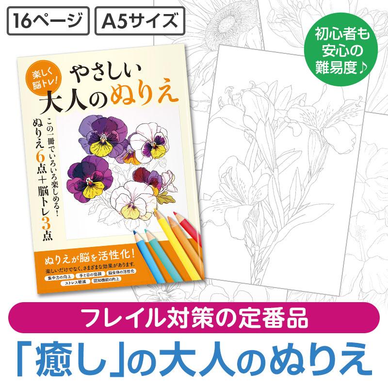 楽しく脳トレ！大人のぬりえ 120個 240個 ケース販売 まとめ買い