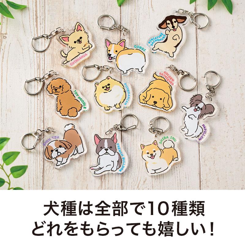 ディアドッグ アクリルキーホルダー ケース販売 まとめ買い 景品 販促 ノベルティ 粗品 記念品 ばらまき イベント配布の画像