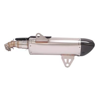 【並行輸入品】 BMW用カーボンエキゾーストパイプ C400 c400x c400gt 2018 - 2020 2021