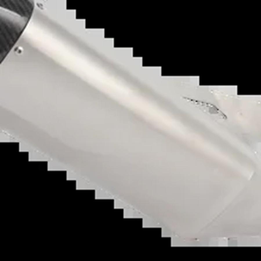 【並行輸入品】BMWバイク 二輪用エキゾーストシステム s1000r m1000rr 2021-25 s1000rr m1000r 2019-2025用カーボンサイレンサー_5