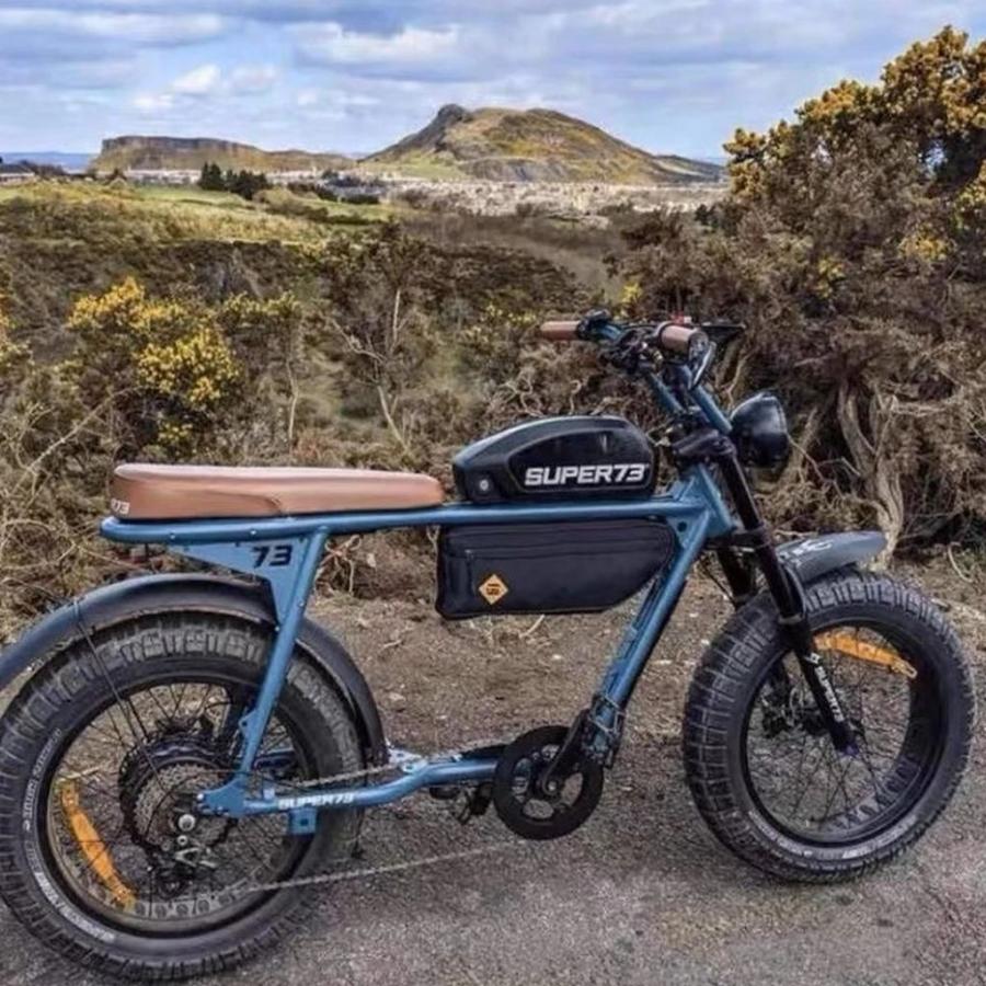 並行輸入品】汎用キャリア収納ボックス電動自転車収納ハンギングバッグ