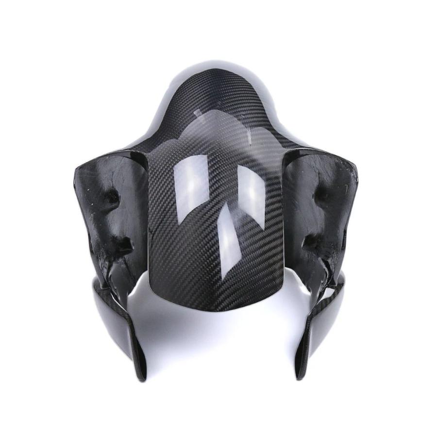 並行輸入品】カーボンフロントフェンダー 100% bmw s1000rr 2019-2024